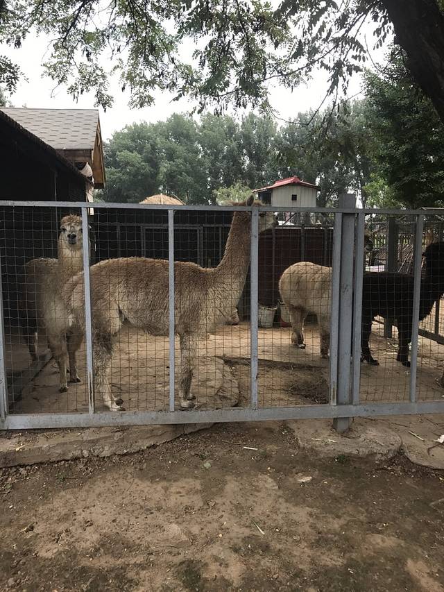 意大利农场餐厅