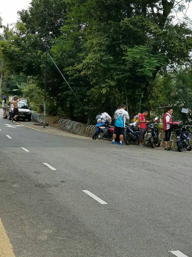 Bukit Gasing Forest Reserve