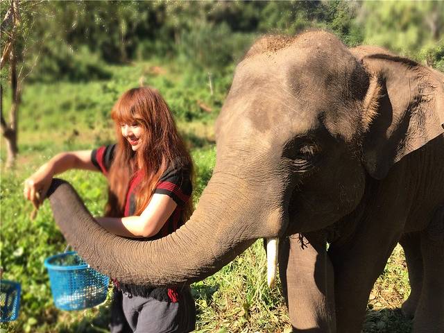 Ran-Tong大象保护中心