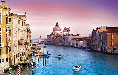 威尼斯港的图片