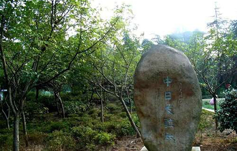 太平镇中日友谊林场的图片