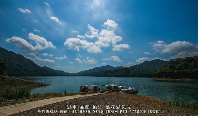 桃花江国家森林公园