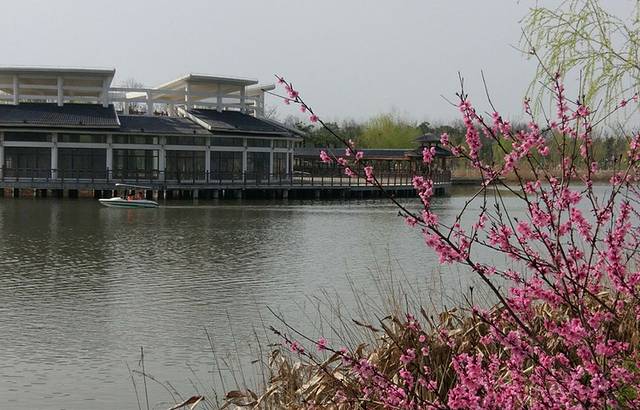 天长市红草湖湿地公园