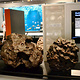 矿物与地质科学博物廊