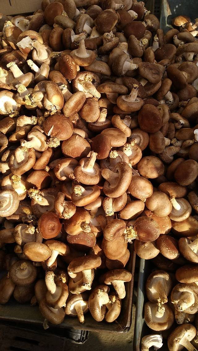 城运控股大连路农贸市场