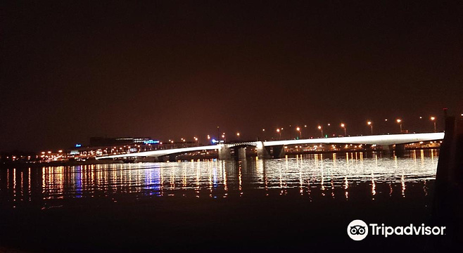 亚历山大涅夫斯基大桥旅游景点图片