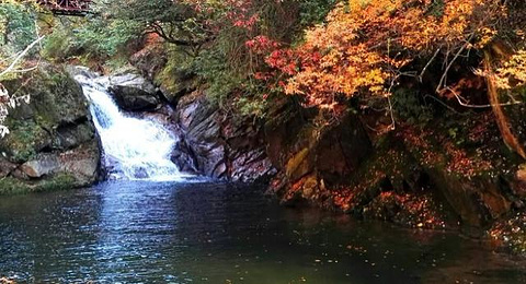 光雾山旅游景区旅游景点攻略图