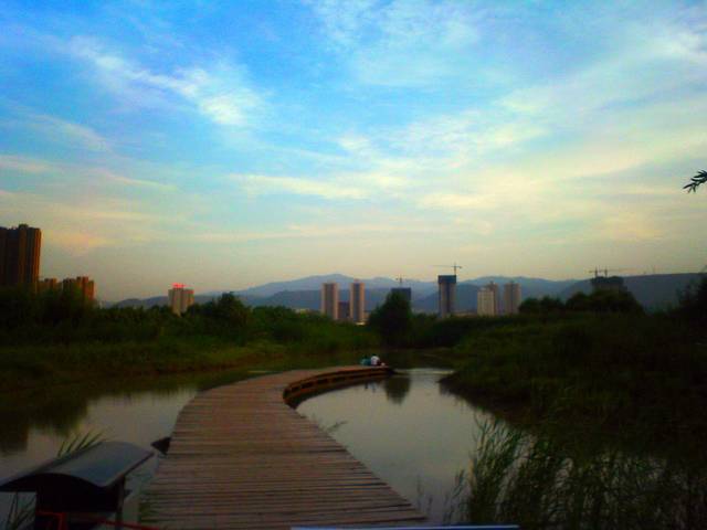 兰州银滩湿地公园