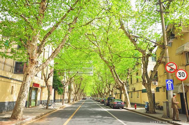 愚园路历史文化风貌区