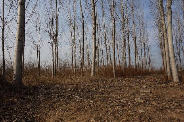 汉魏许都故城遗址