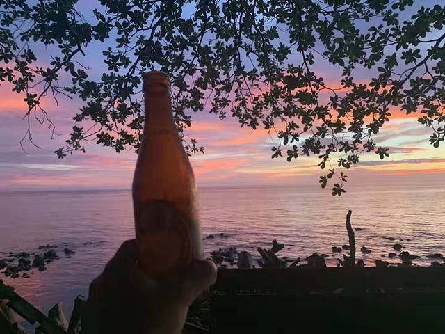 The Beehive Driftwood Cafe