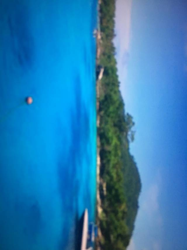 海蜜蜂潜水