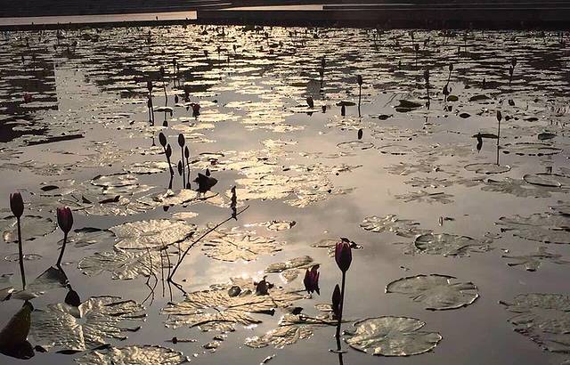 梅州市华侨博物馆