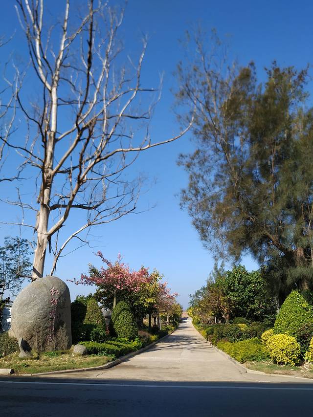 红树林生态公园