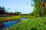 漳平南洋国家湿地公园
