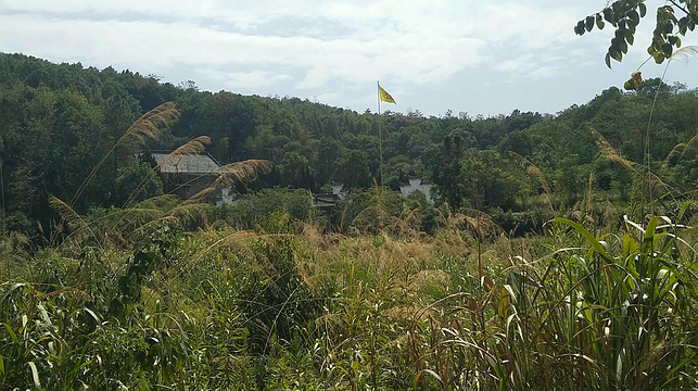 岳母祠旅游景点图片