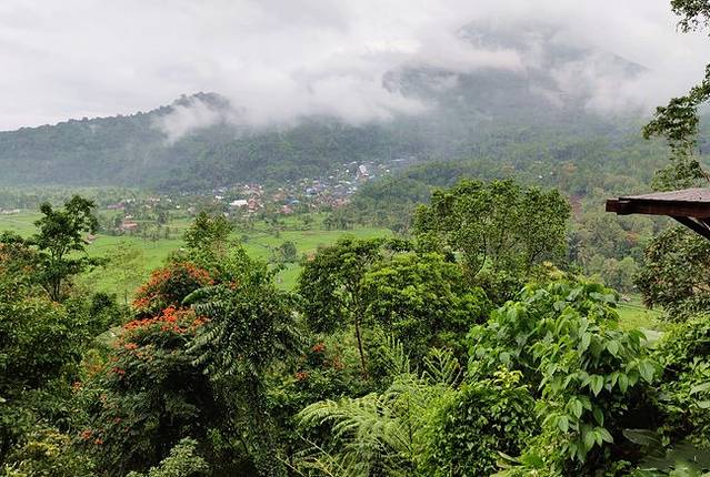 自然之家冒险乐园