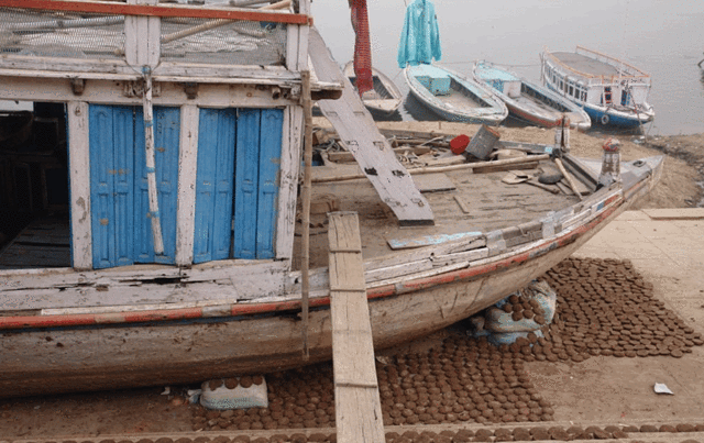 Japanese Rose Garden