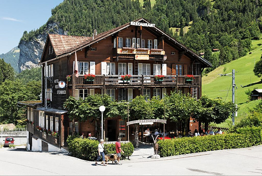 斯坦博克酒店(Hotel Steinbock)旅游景点图片