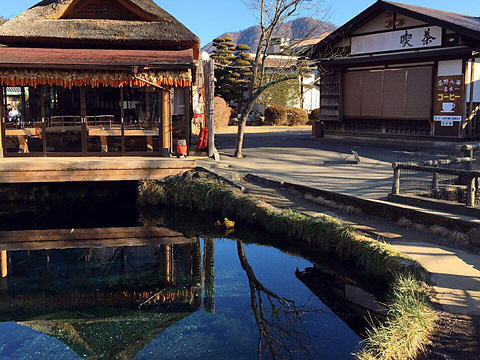 忍野八海名泉そば旅游景点图片