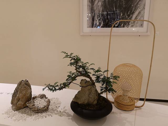 釜山大学 大学路