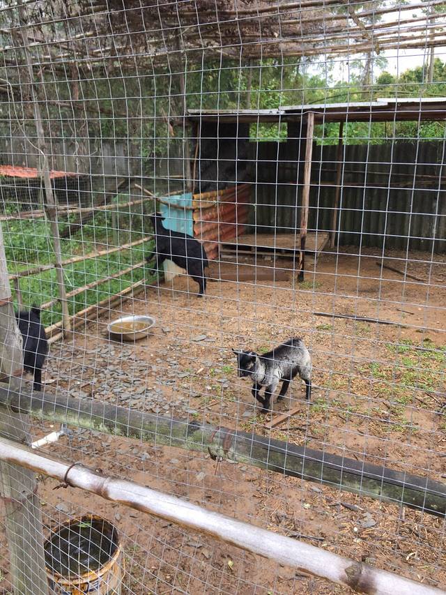 莱茵河原生态休闲农庄