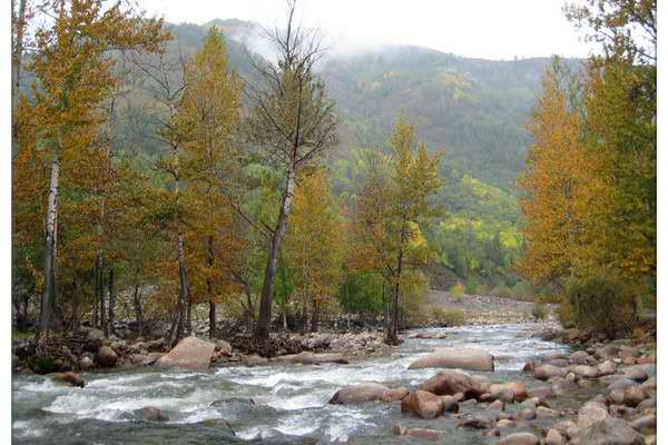 小东沟森林公园