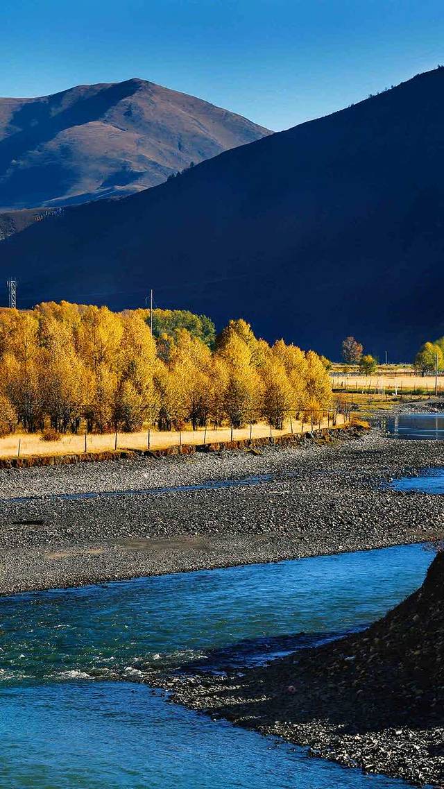 肯德基(新庆莎店)