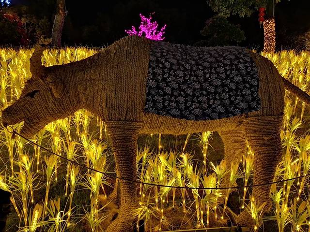 巴伐利亚庄园国医国药温泉