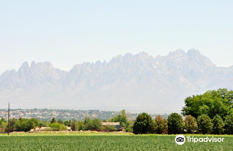 Old Mesilla Village