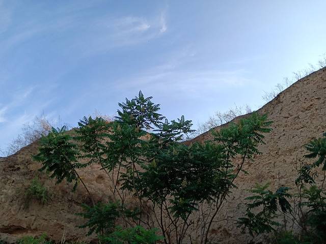 北齐古城墙遗址