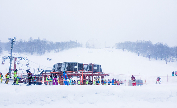 Sapporo Teine (Olympia Ski Center)旅游景点图片