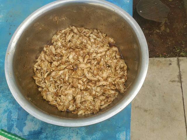 白圩镇石头塘五谷坊(拜堂街店)