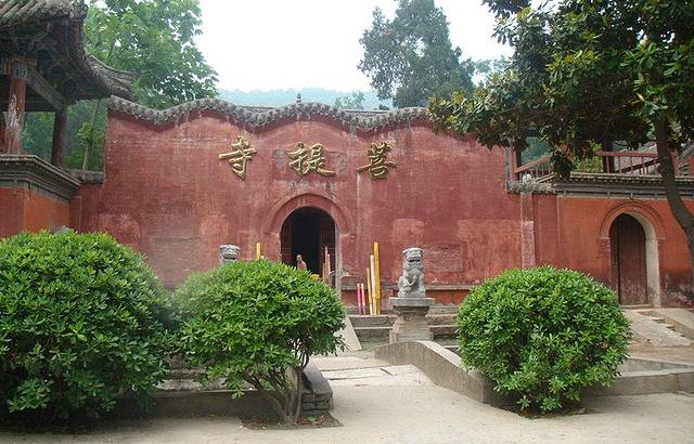 菩提寺森林公园