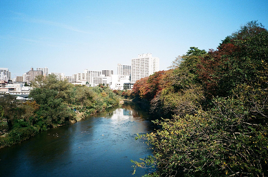 广瀬川旅游景点图片