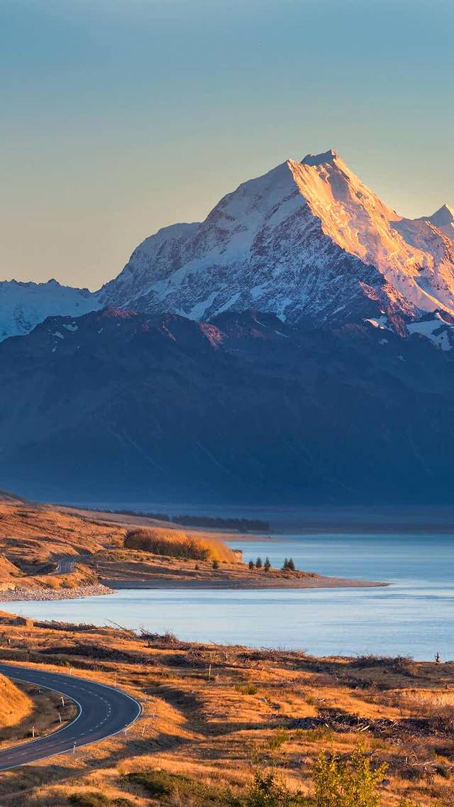 小杨生煎(上海宏伊广场店)