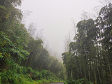 莫干山旅游景点攻略图片