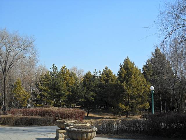 俄罗斯小镇油画馆