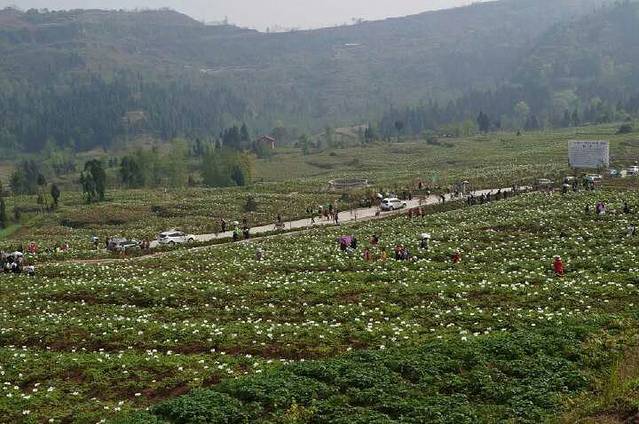 秦巴植物博览园