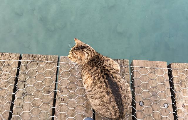 Revolution Tours - Pedal to Paradise