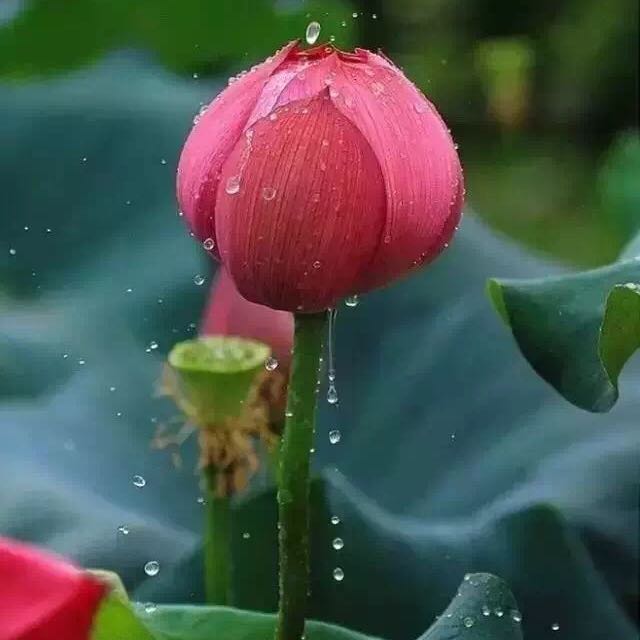 百盛购物中心(南昌店)