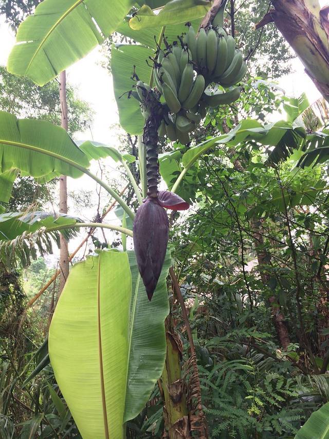 四通酒家(兴电小区店)