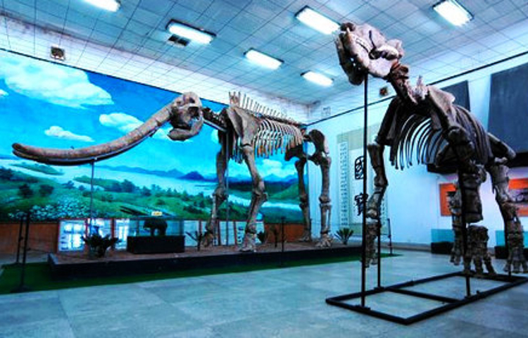 旬邑县民间艺术博物馆