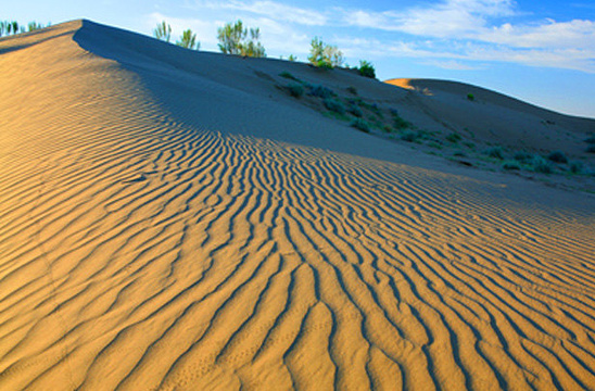 英尔力克沙漠旅游景点图片