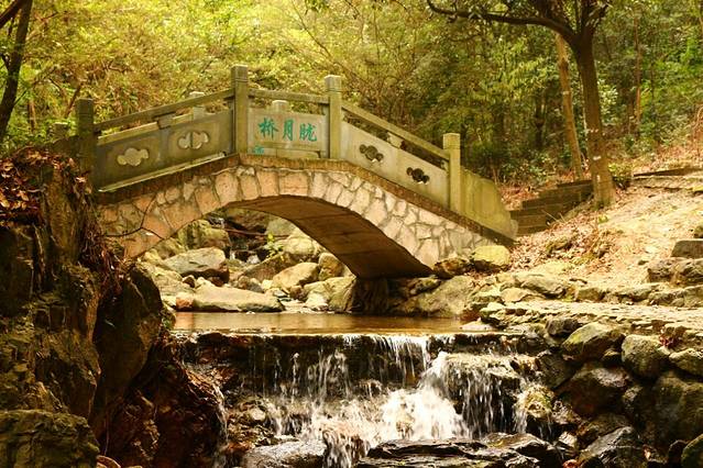 北仑森林植物园