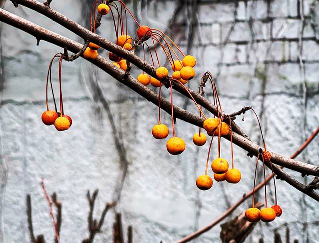 杨浦图书馆(平凉分馆)