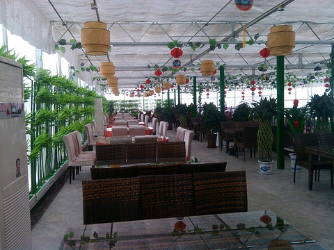 尼勒克县阳光岛生态餐厅旅游景点图片