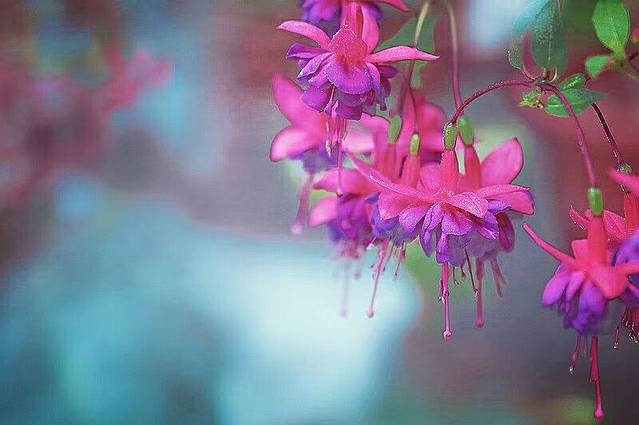 南京雨花台区金胜码头