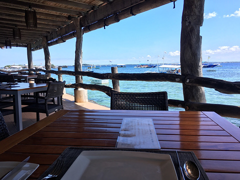 The Cove Live Seafood Restaurant
