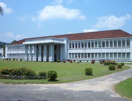 佩拉德尼亚大学